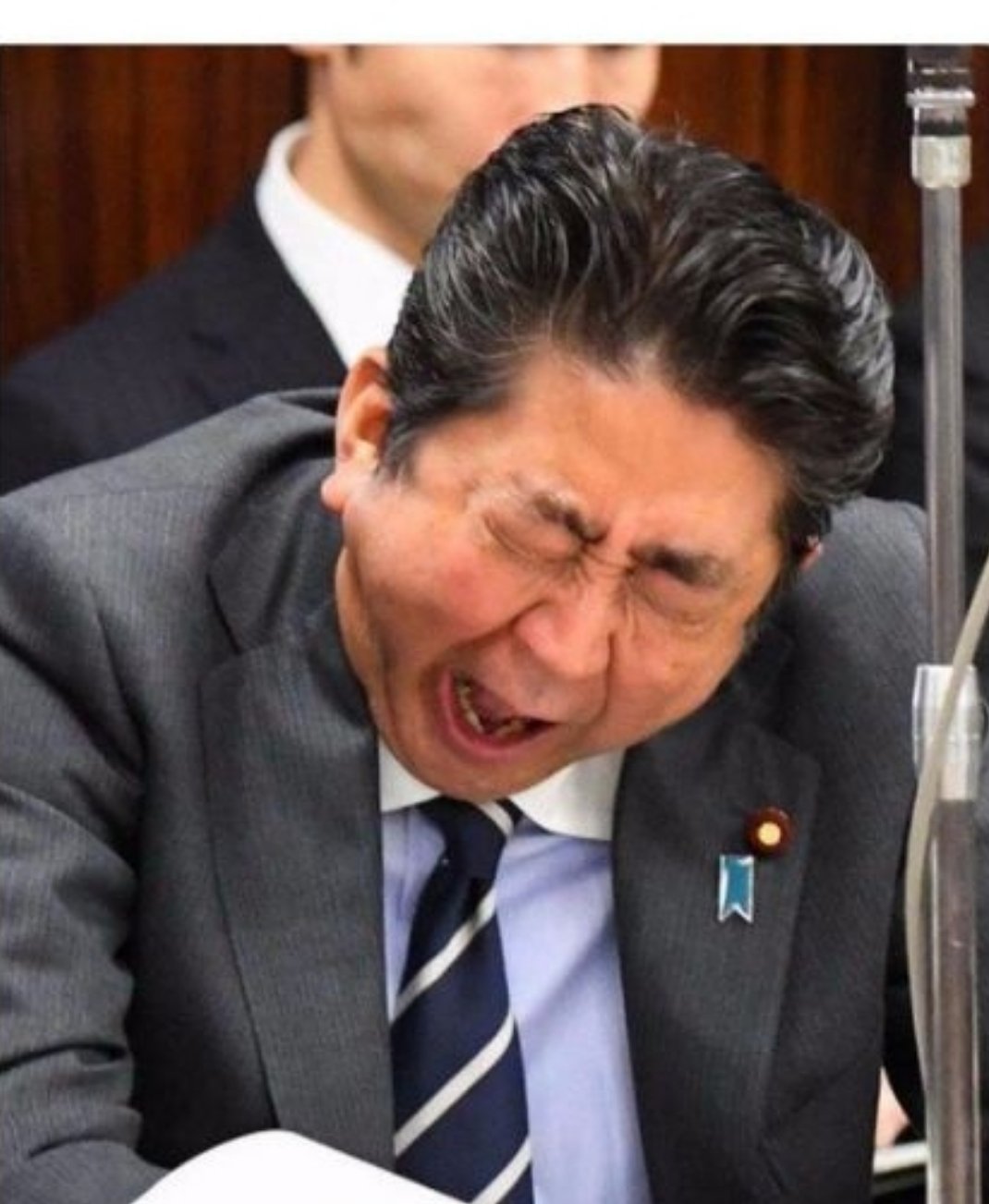 正常，安倍也有过。