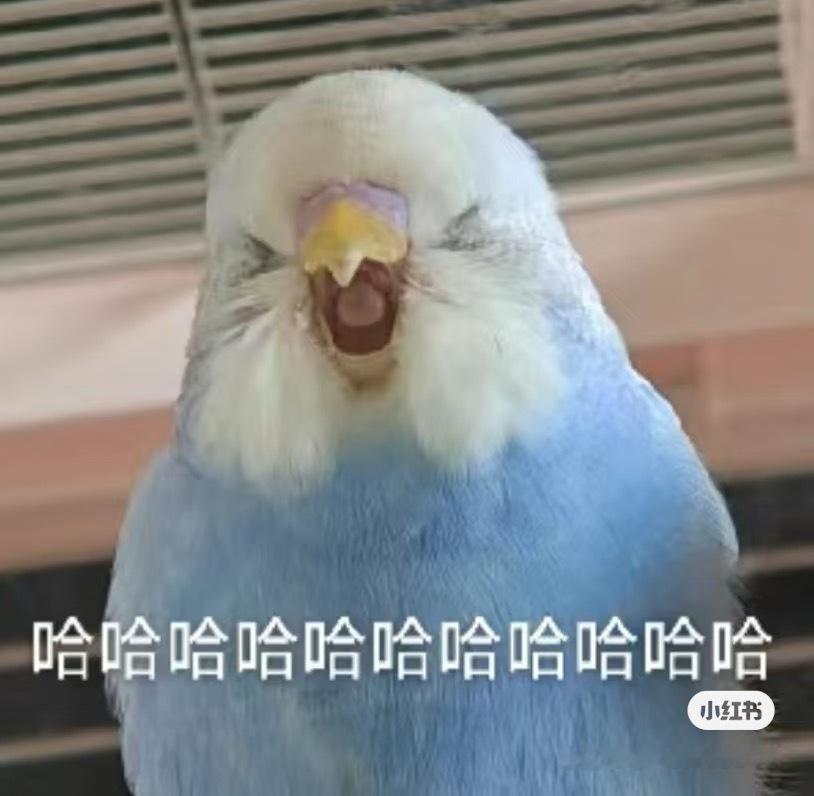 在看一篇国外小说，男主身份属于地位很高的巫师，备受尊敬，跟伴侣亲热的时候，要求伴