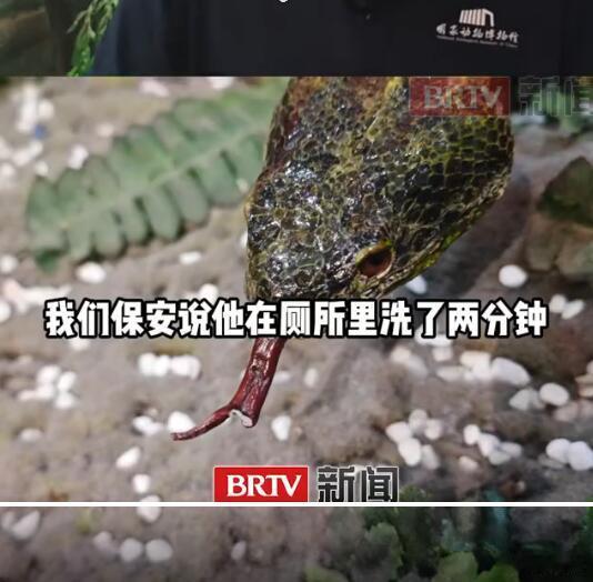 博物馆里还能刷新神人，还是挺少见的。很多人都觉得这种地方就不要乱碰东西，安静的看