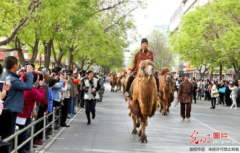 西北人都是热心肠“东天山来的骆驼队”是一支重走古丝绸之路的队伍，由33峰骆驼、3
