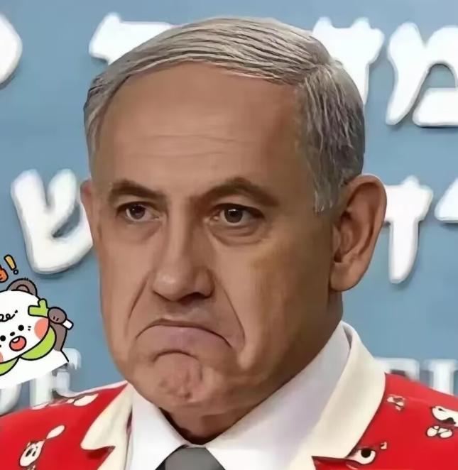 以色列最新消息！

以色列 4 月 5 日官宣：彻底作废法国所有国防订单，半毛钱