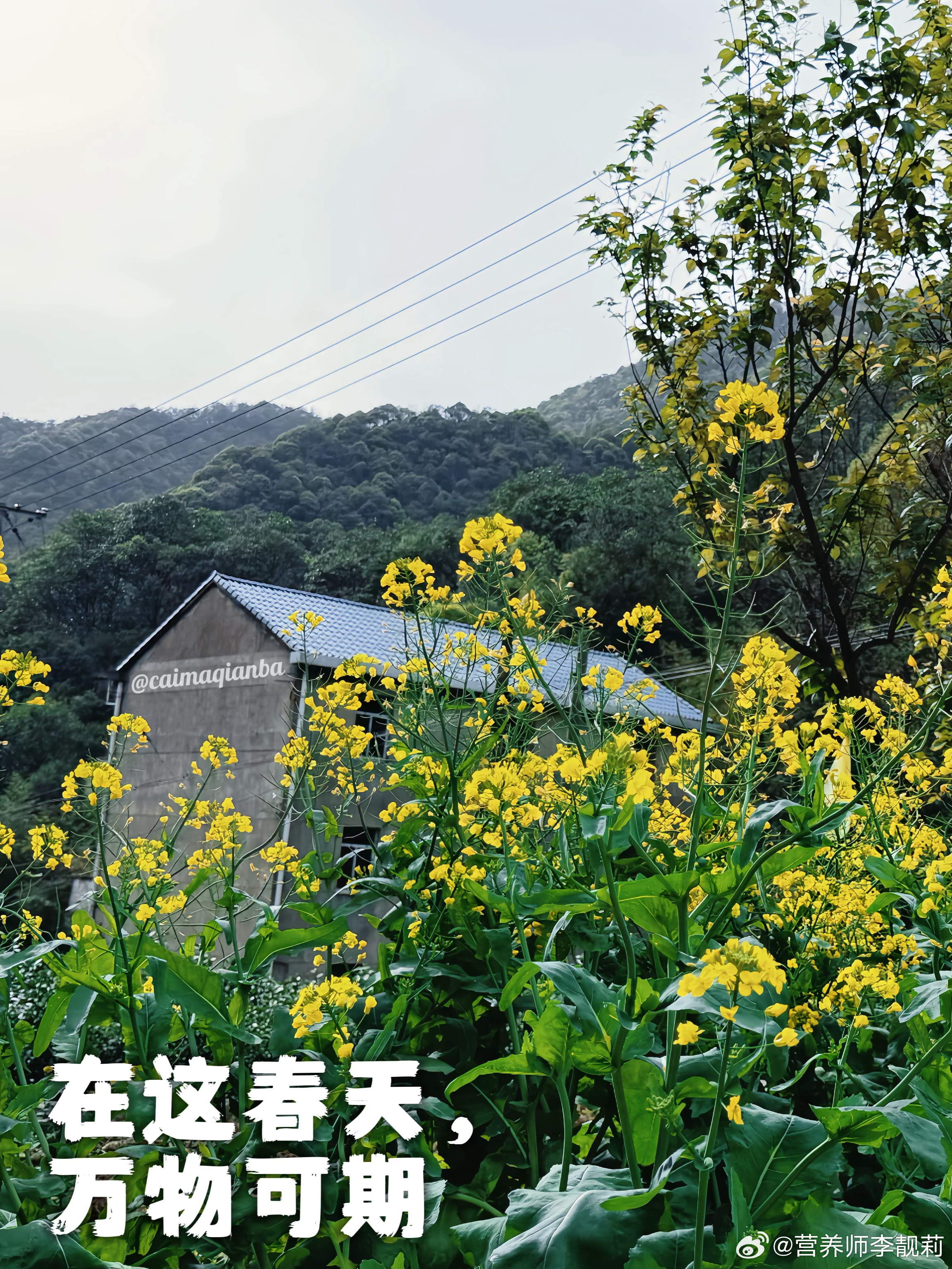 清明小长假，我们昨天又带着两小只去徒步啦日常分享小众宝藏旅行地日常碎片plog春