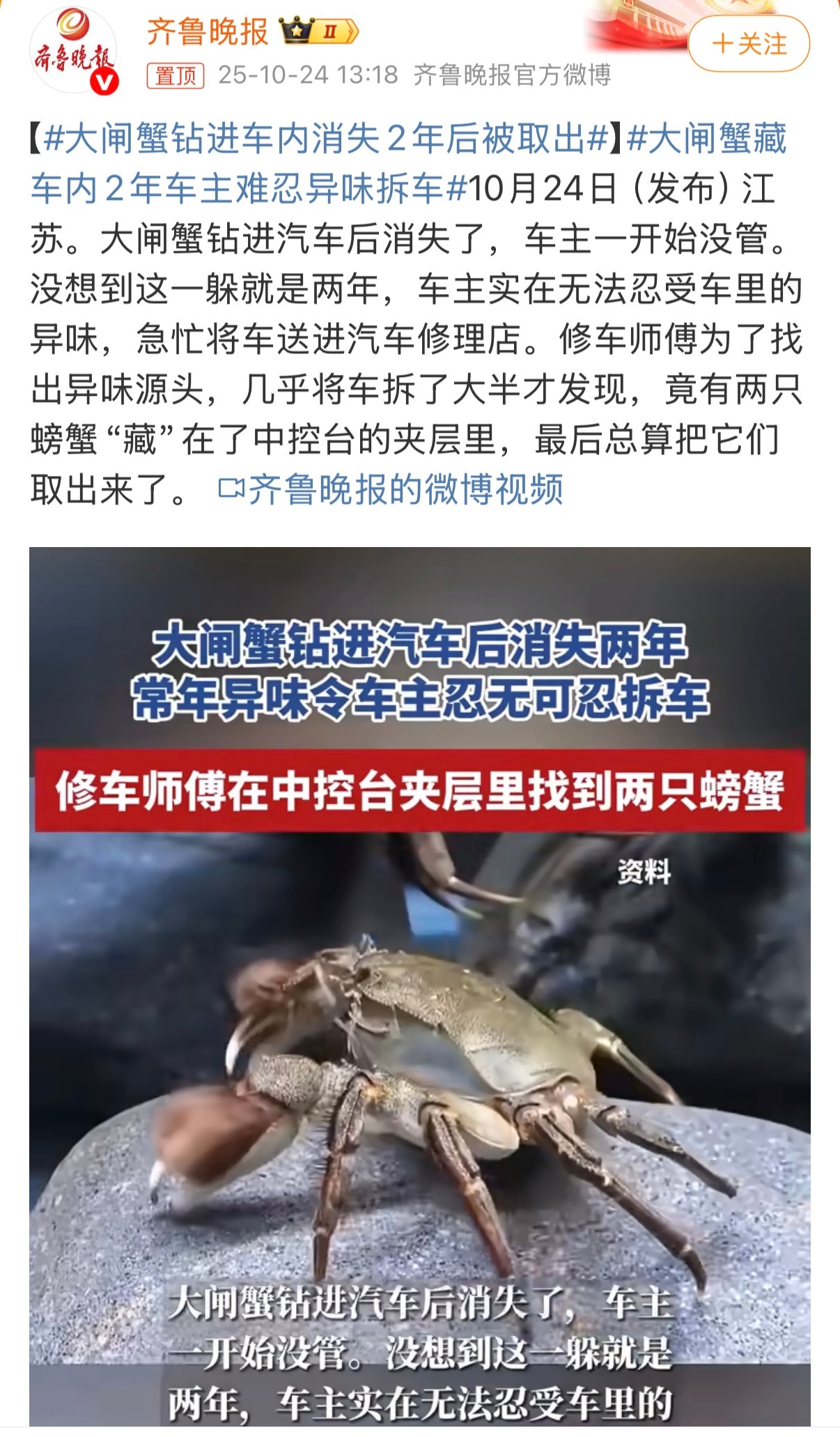 大闸蟹钻进车内消失2年后被取出好家伙，失踪两年……所以大家如果闻到腥臭味，一定要