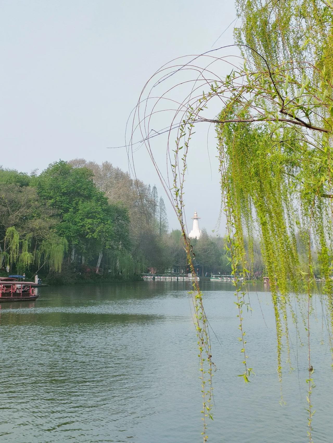 湖畔垂柳拂水面，白塔静立绿树间。