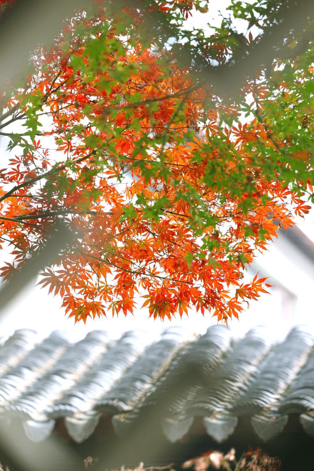 昨天遇到一位学生家长，跟我说：“老师，我们家孩子数学不太好，你们这儿有没有好老师