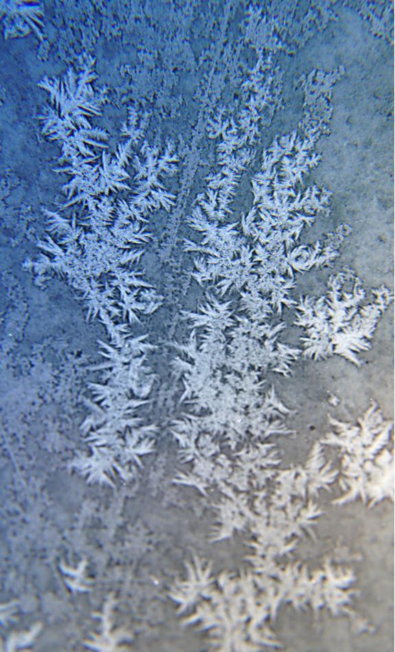 今天霜降，气温真就由凉转寒了。霜降是秋天最后一个节气，意味着冬天不远啦。这时候昼