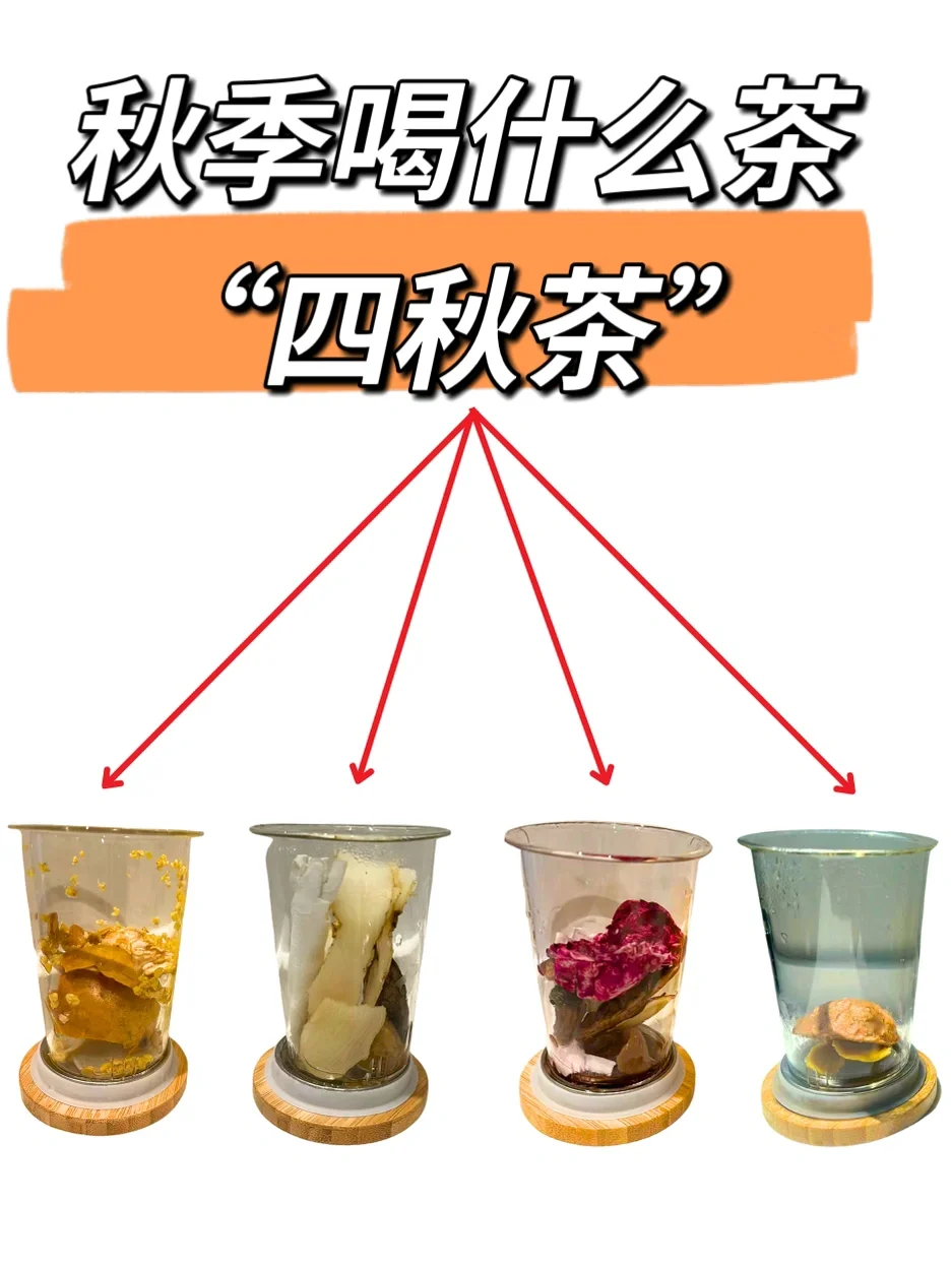 秋季茶水，都汇总在这里！