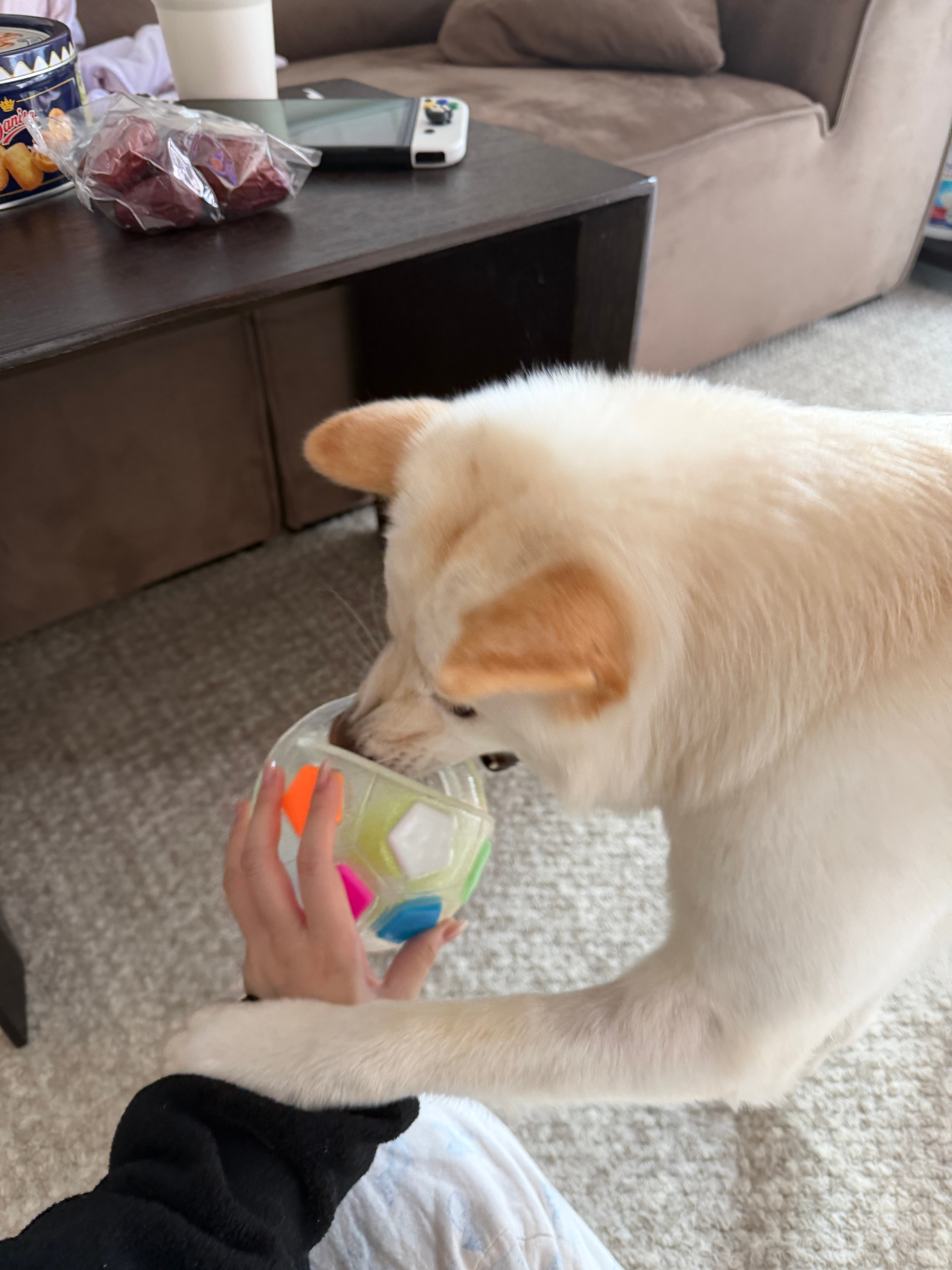 这个玩具被铁蛋评为近期最爱昨天半夜在它身上发现一只跳蚤。。。。想鼠妈妈再也不会亲