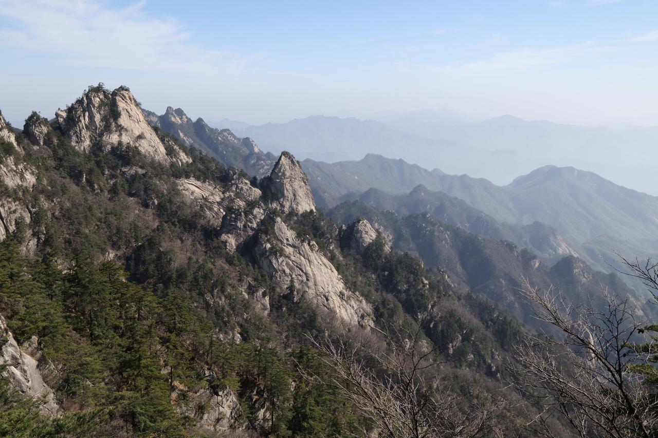 我来分享一张之前在杨浦拍的春景照。三月的杨浦，美得宛如一幅油画。共青森林公园内，