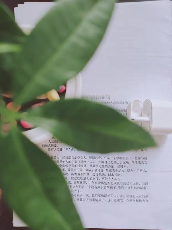 人真没必要太在乎别人背后的闲言闲语。这辈子没法让所有人满意，总有人在背后碎嘴。懂