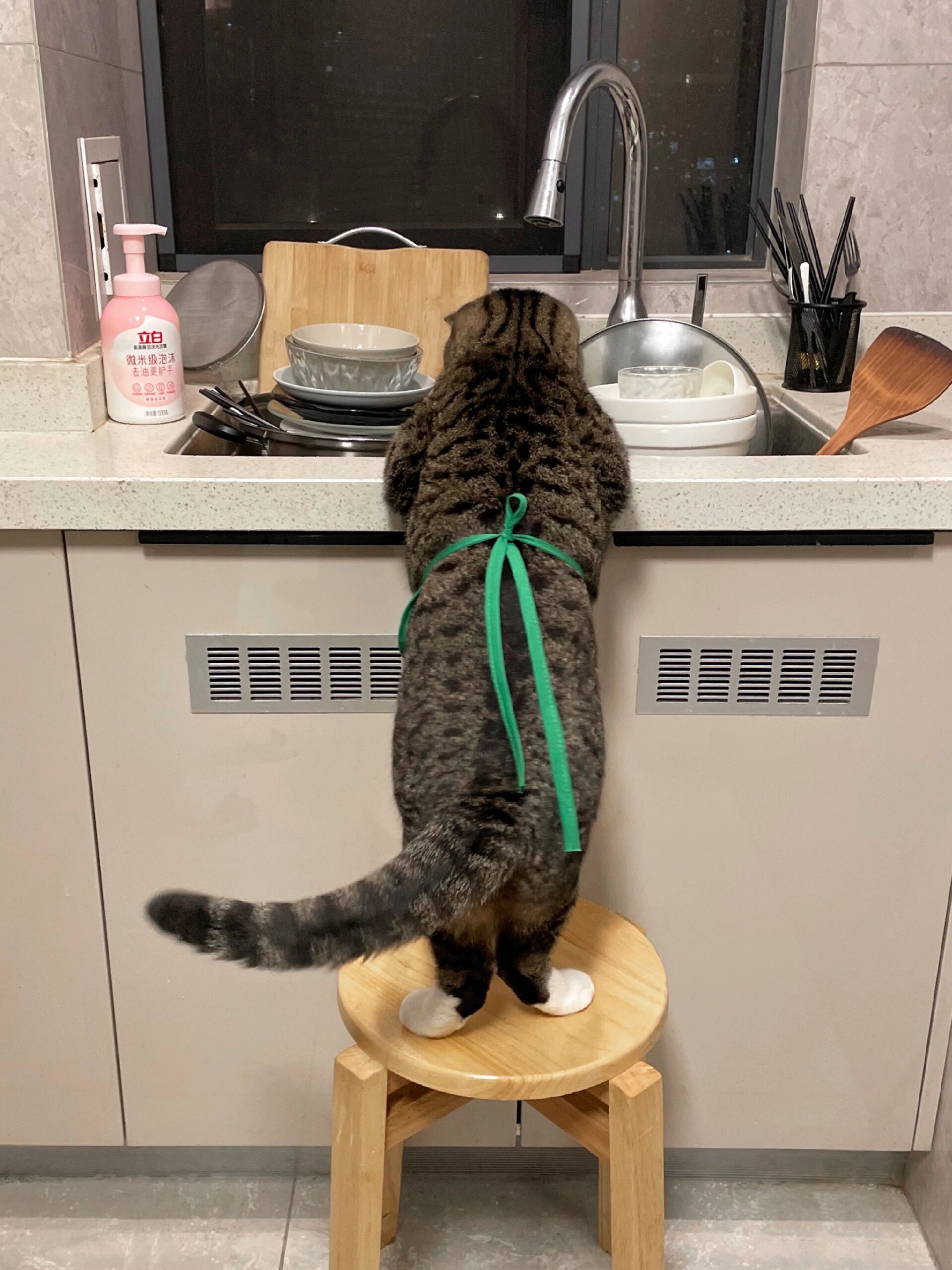 如果妈妈问以后谁给你养老： ​​​