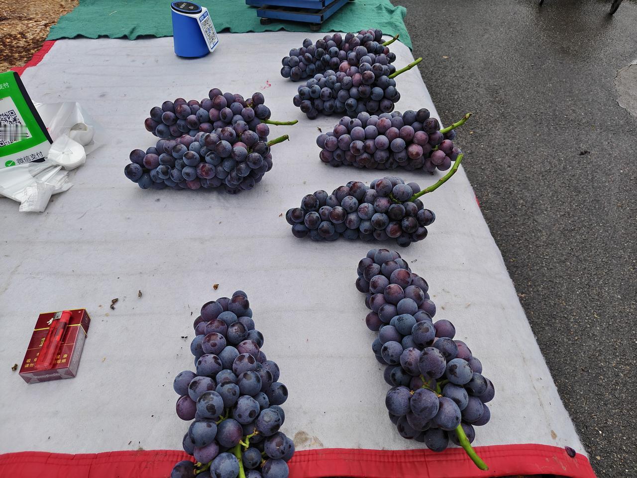 瞧瞧这新鲜的巨峰葡萄🍇，在运城盐湖西街早市，早上卖8元一斤，中午卖5元一斤，时