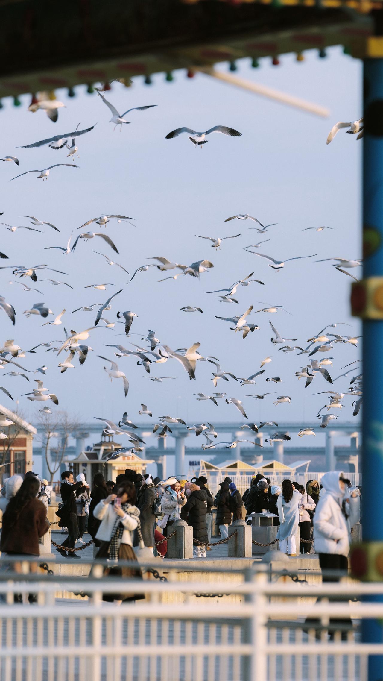 提起大连 你会想到什么？   城市记忆