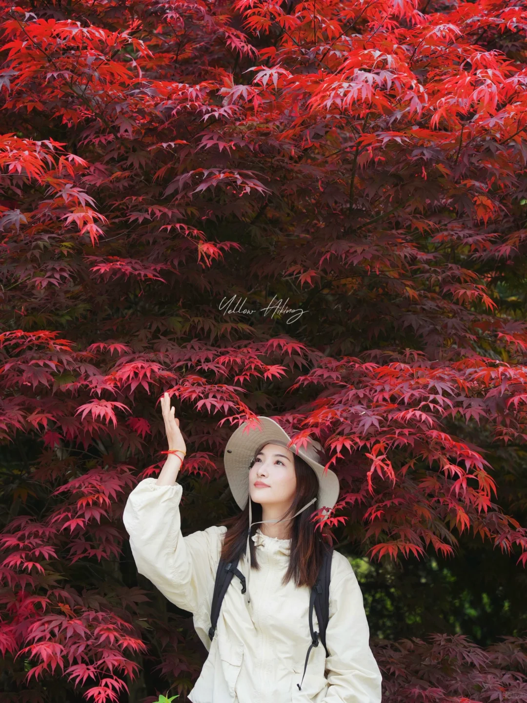 宁波爬山徒步｜五连坑 但是雪窦山版！
