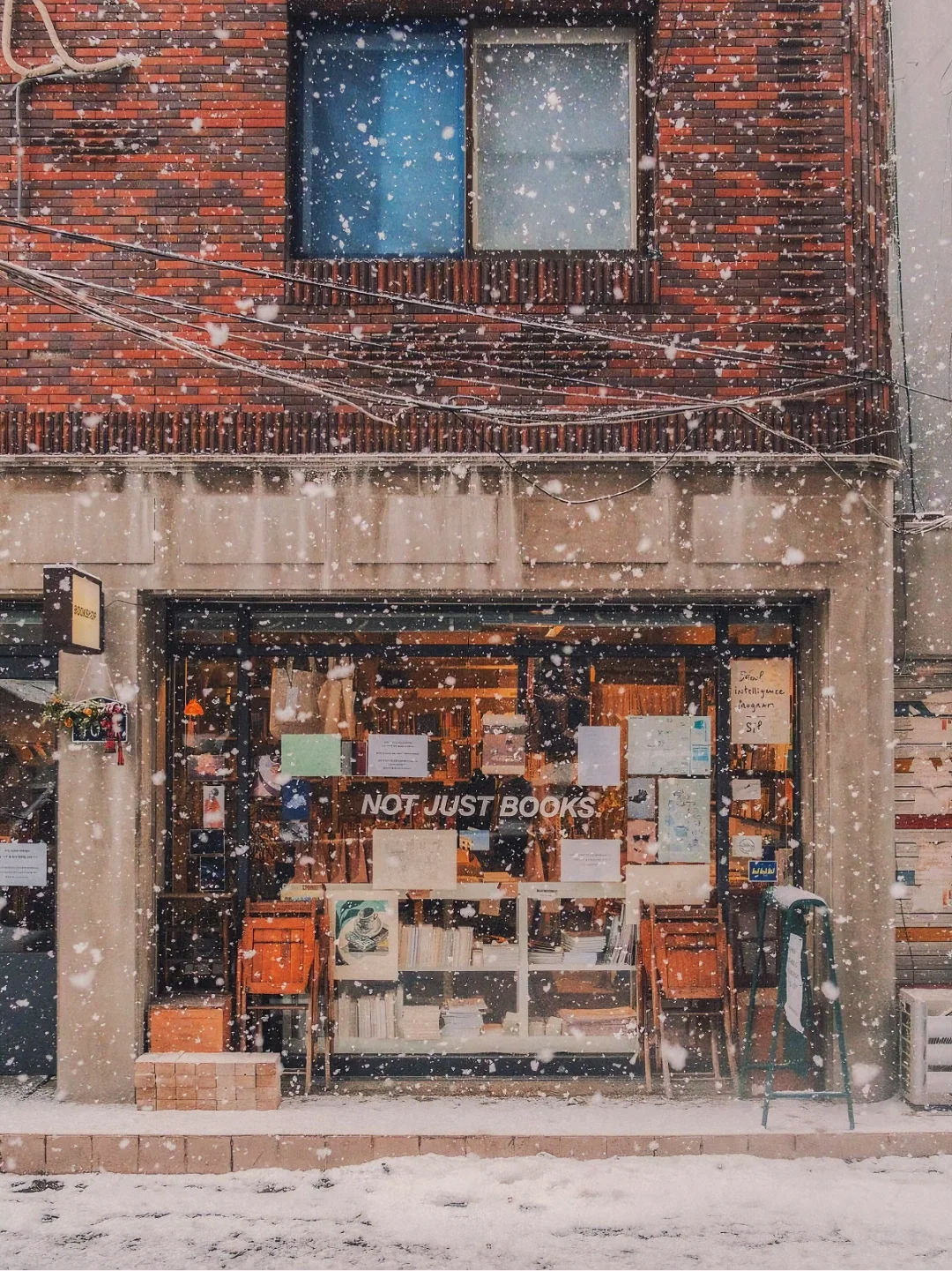 韩国首尔 期待一场今年的大雪❄️附民宿推荐！
