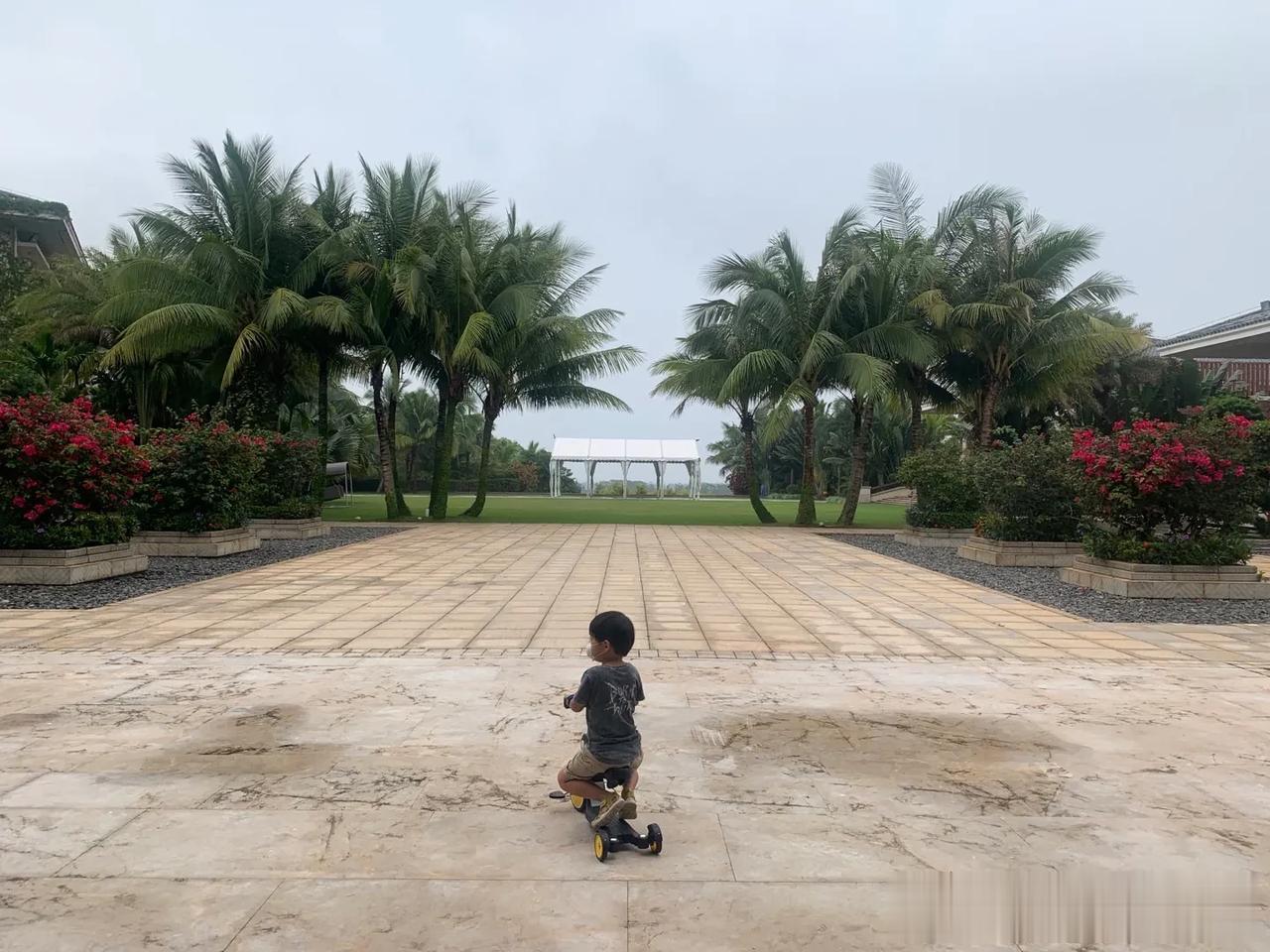 雨后空气清新，小闹哥儿在绿树成荫的环境下尽情吸氧，感受大自然的灵气[微笑]