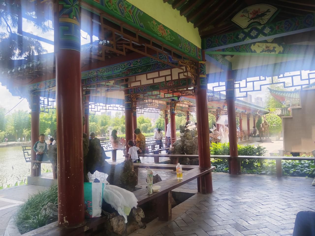 晒晒今天的美景
