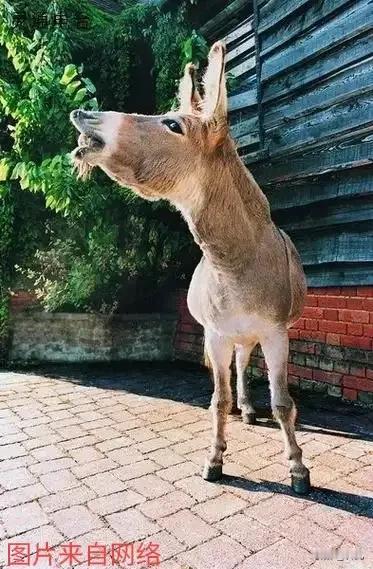 老师对学生严管家长说伤自尊心
老师对学生宽松家长说不负责任

老师留作业多家长说