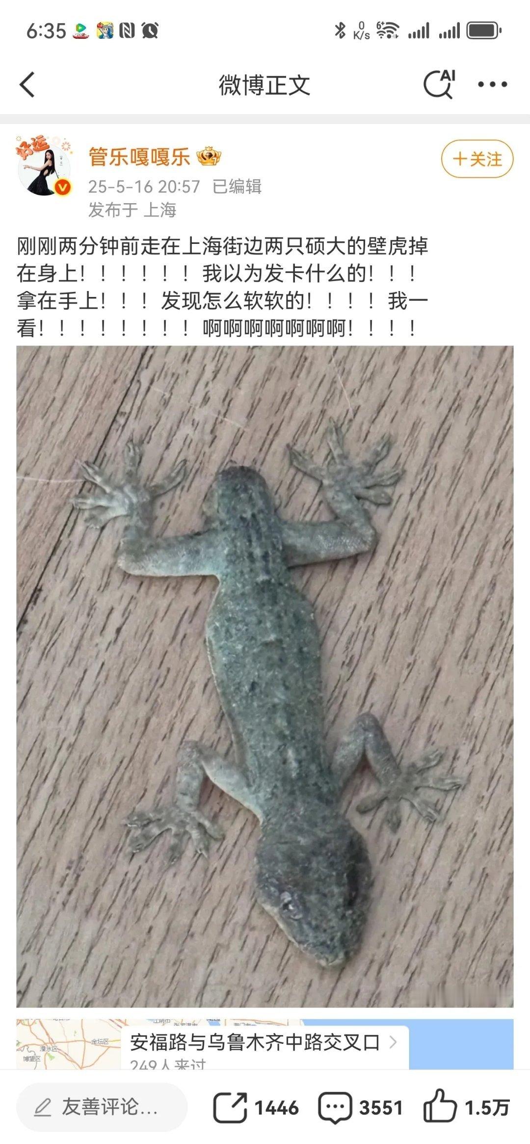 当红艺人管乐近日在社交平台分享了一段惊险遭遇——在上海安福路乌鲁木齐路口，两只