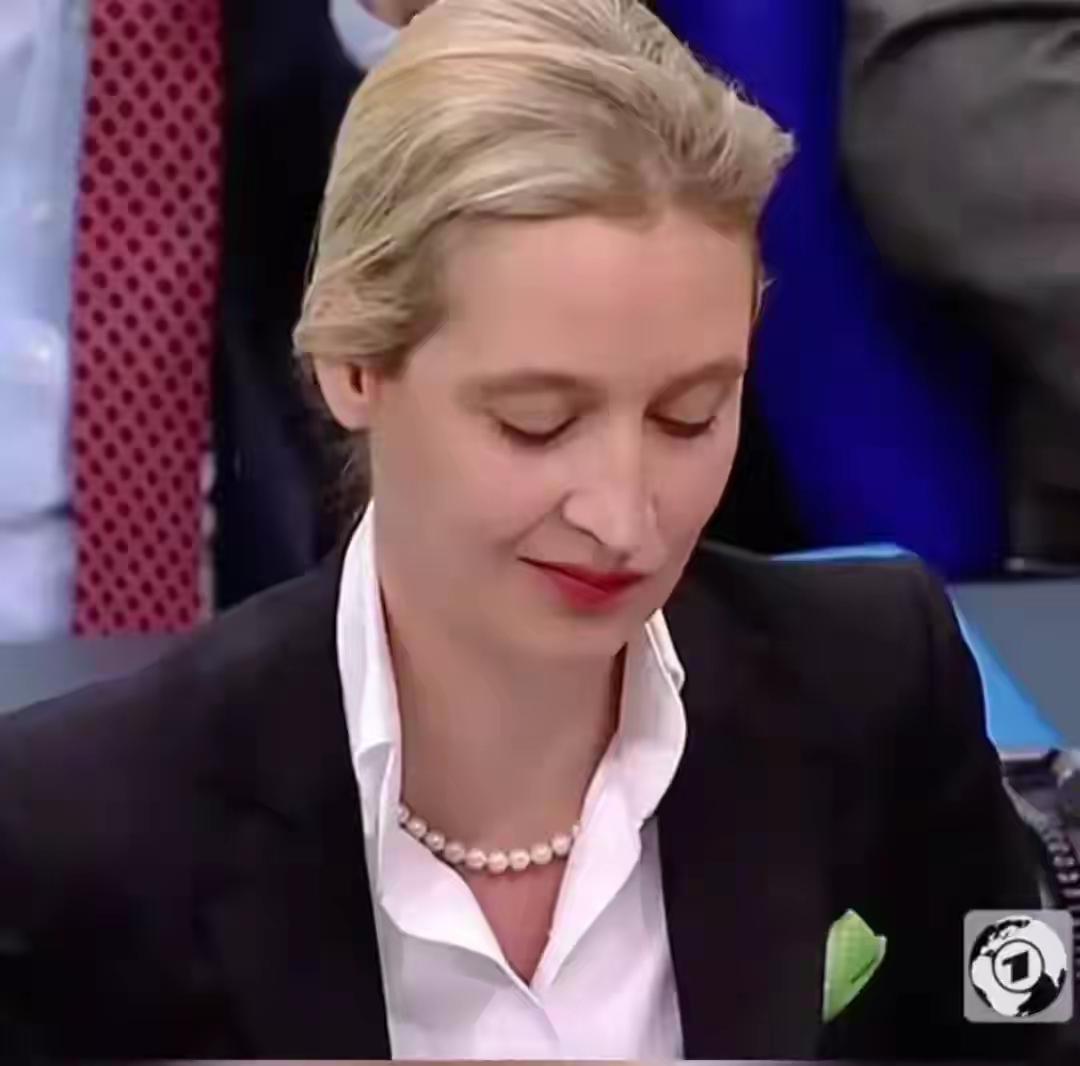 在华深耕六载：魏德尔的中国印记与务实世界观
 
近期，德国选择党主席魏德尔在多州