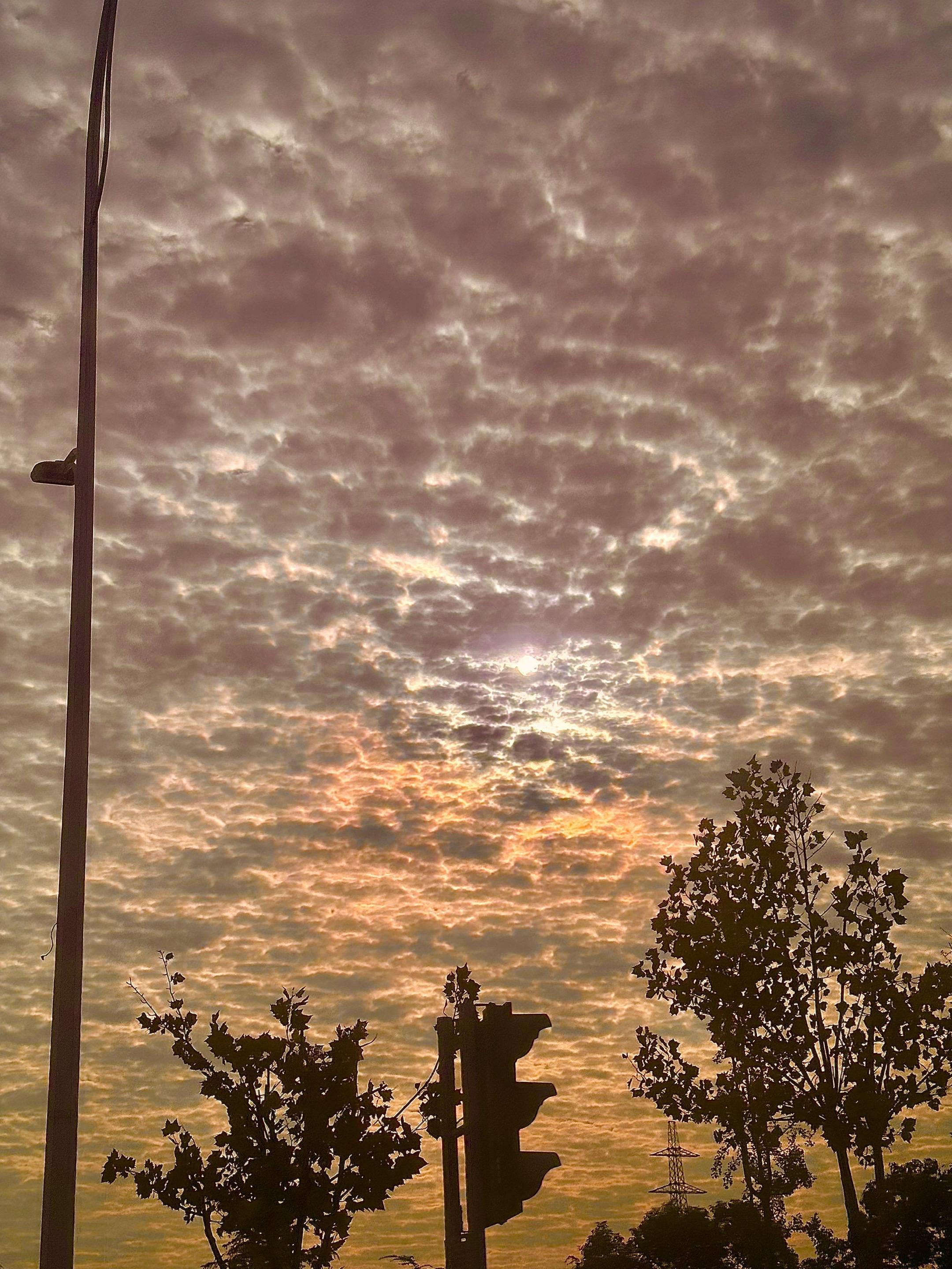 碰到喜欢的调调就想发个，虽然不能当饭吃，但可以喂养无趣的灵魂🌄