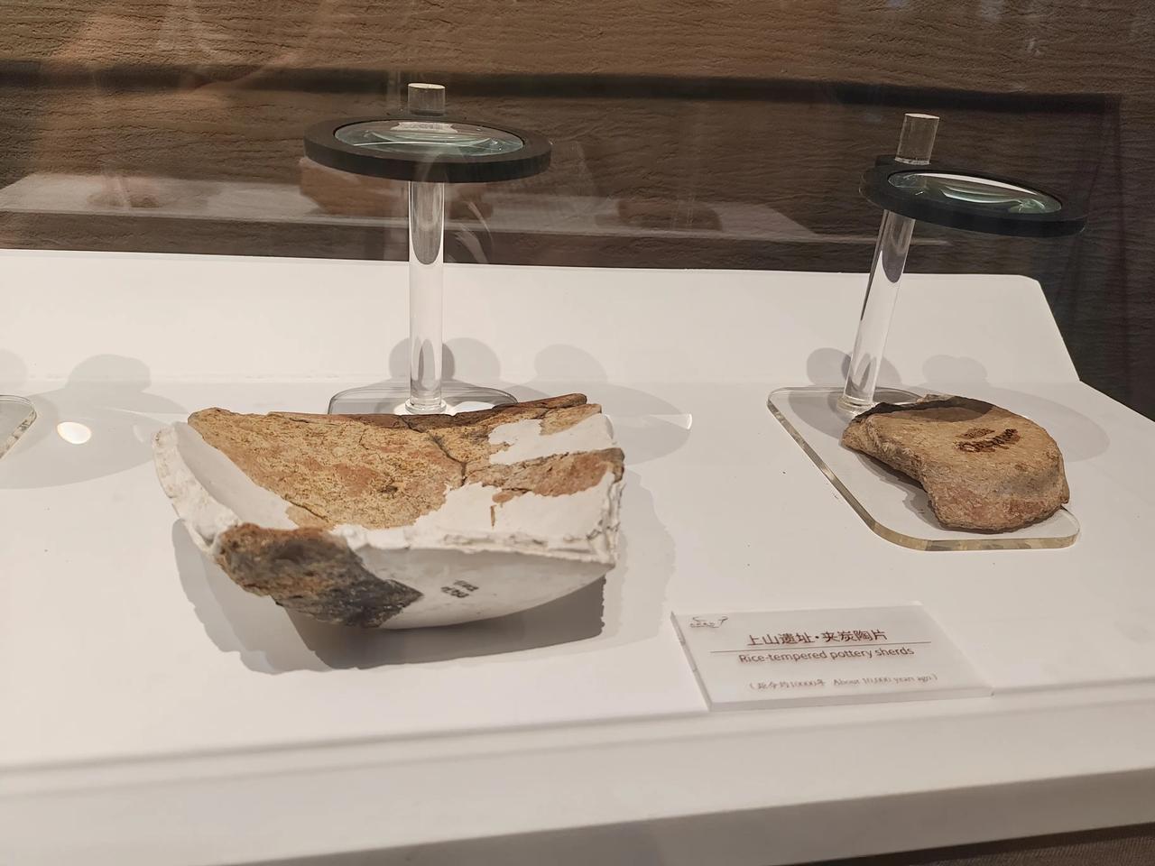 技术突破：团队将扫描精度调到0.01毫米，在不损坏陶片的前提下，从陶片内部的植物