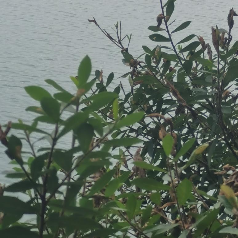 离婚后，孩子的妈妈离开了家，孩子留了下来，与爸爸一起过日子。孩子的爸爸为了养家糊