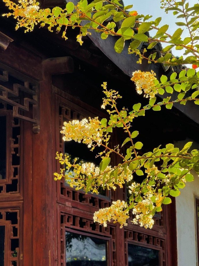 一朝入姑苏 满眼是江南  