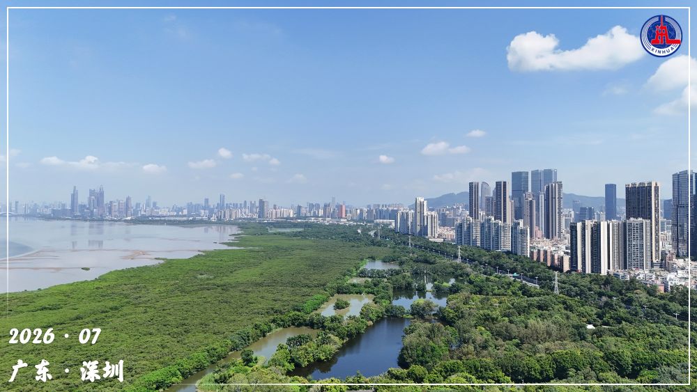 镜观·回响|守护红树林 中国在行动