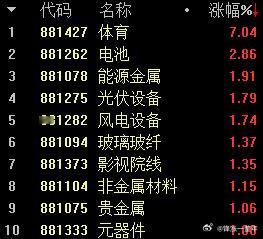 体育概念大幅高开 体育板块大幅领涨，消息面上，国务院办公厅发布计划到2030年，
