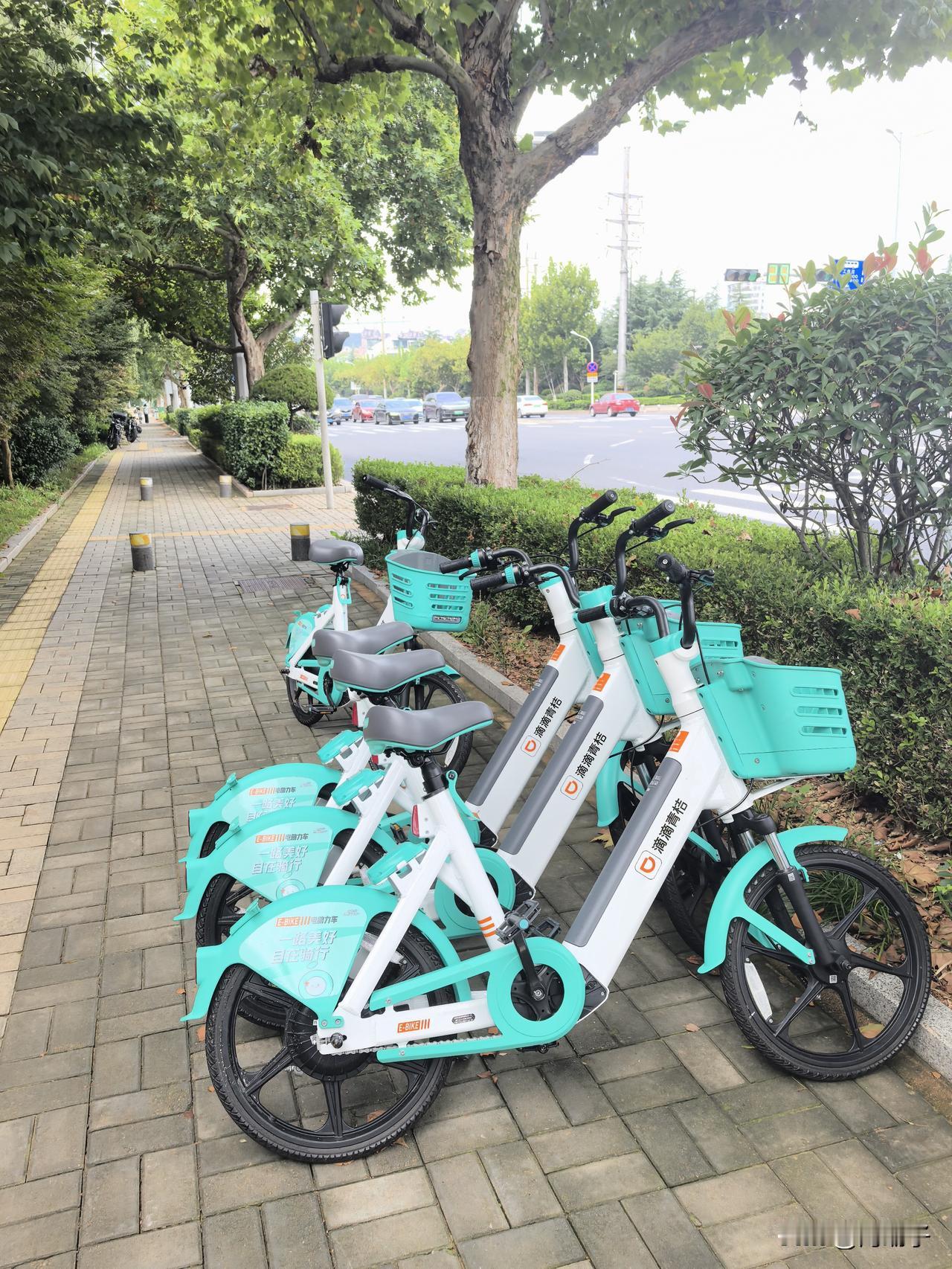 照片拍摄于10月8号青岛市银川西路上，浮山森林公园附近。是个共享的新鲜东西，这应