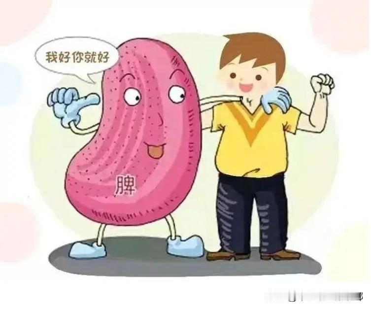 健脾胃最好的方法，你要记住，要想养好脾胃，首先你要知道你是那种类型。

1、脾气