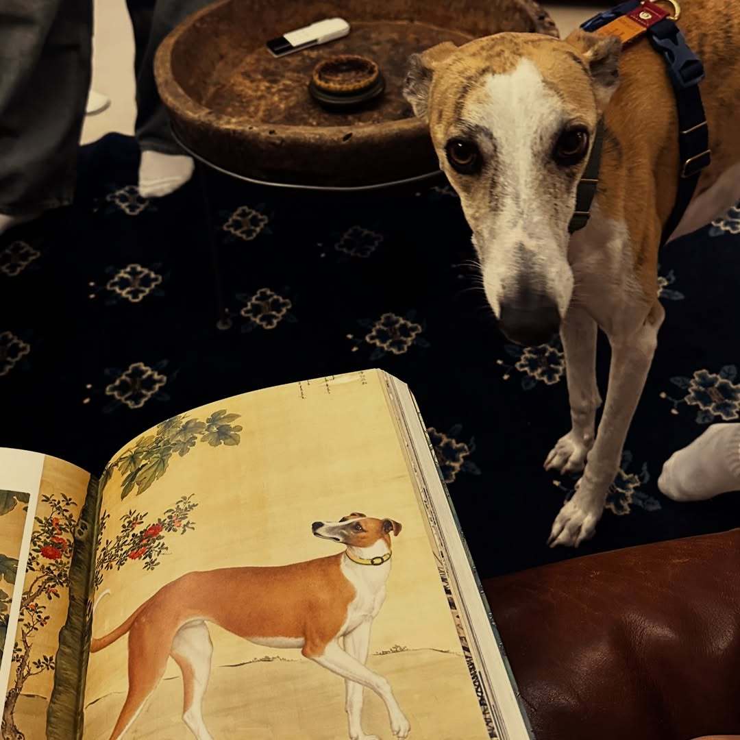 彭于晏 💥彭于晏电影爆水管今日网播上线🌱ollo在户外的绘画，nebbi与x