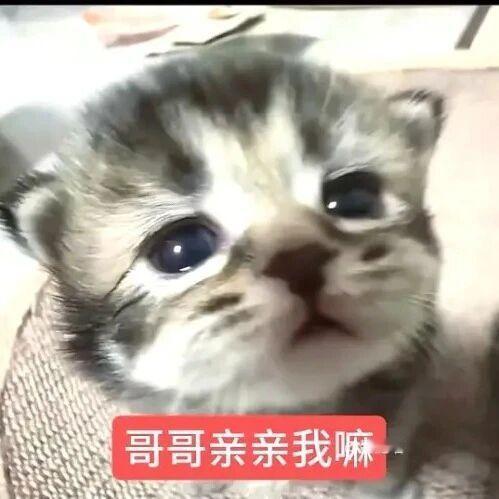 oi有这种妹妹你想不想和她不醉不归[泪] ​​​