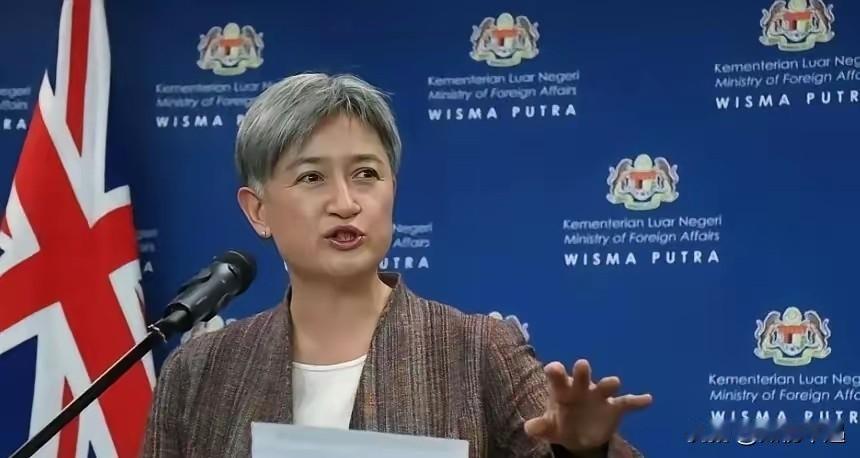 澳大利亚这波操作真是让人看笑了！自家葡萄酒、煤炭还堆在港口发愁，转头就敢对中国台