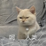 小福尔摩斯读读娱乐