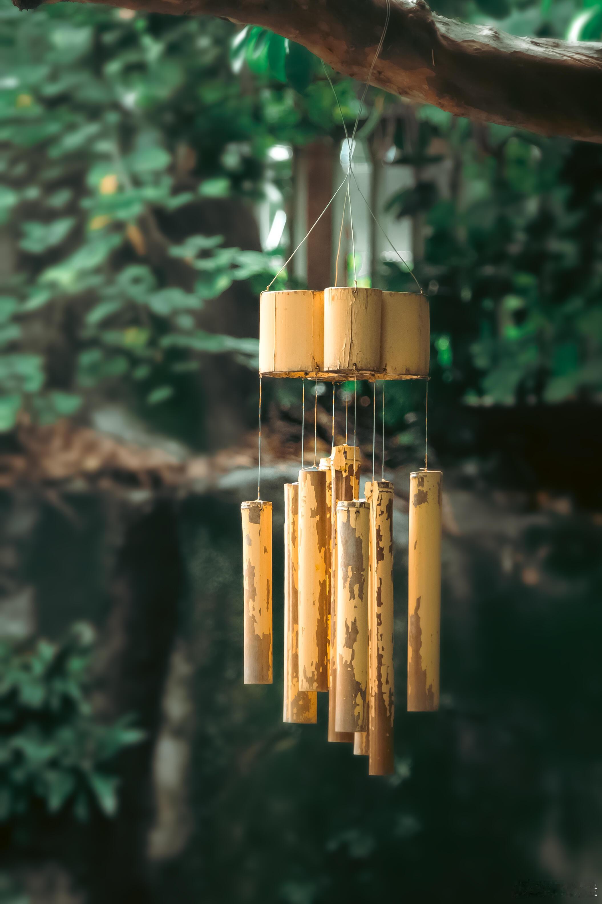 “在乎你的人才会顾及你的情绪，爱你的人才会与你共悲喜。有人嫌你不够好，也有人觉得