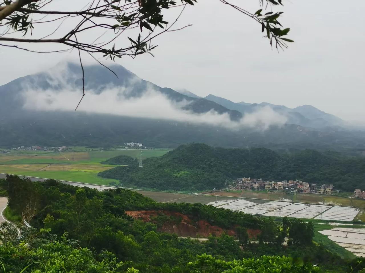 说不清，道不明的「作者互动季」，在大家的怀疑和猜测中获得了瓜分奖励，心里不免有点
