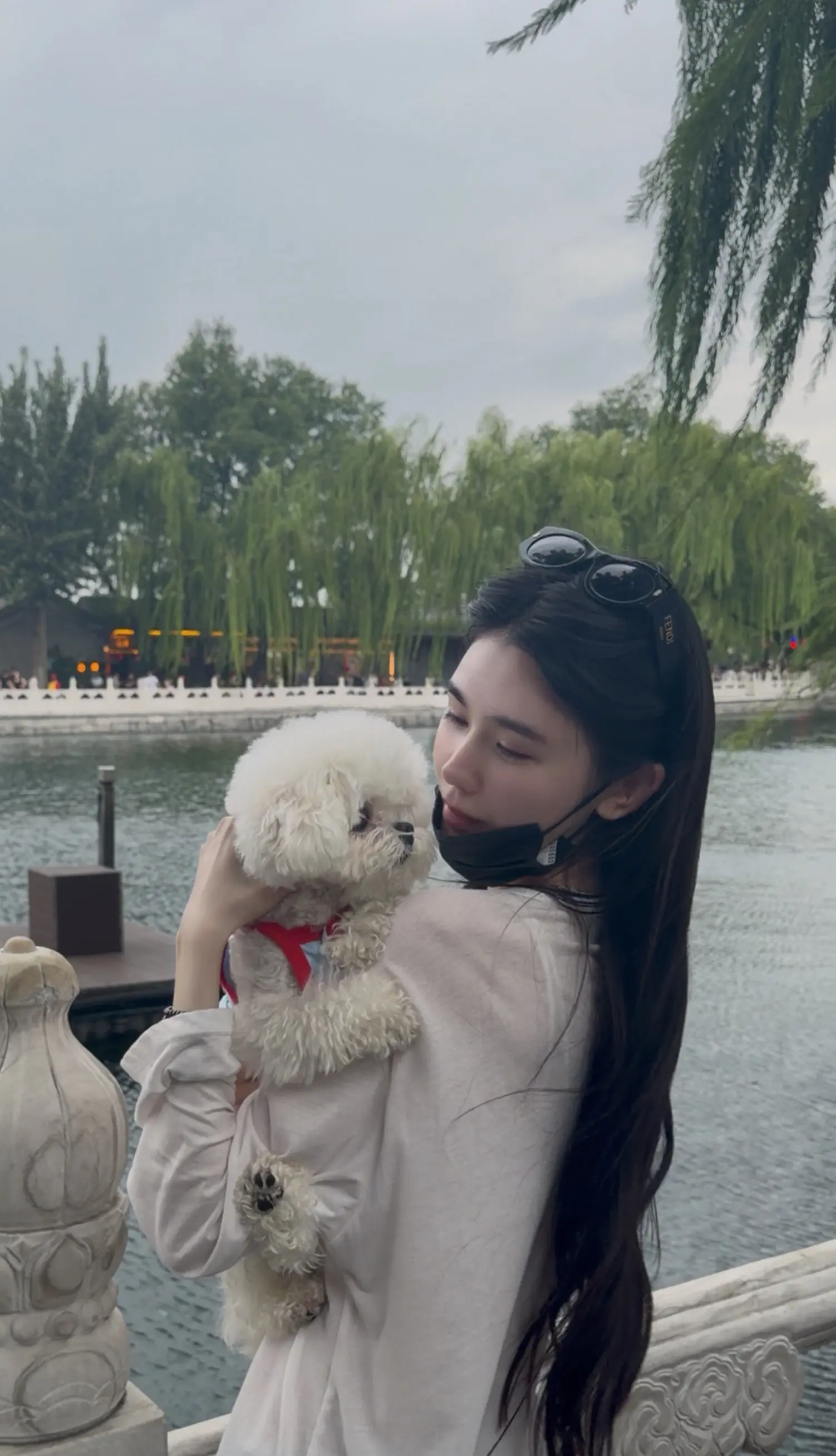 妈妈拍的 也是去过后海的小汪汪了❤️