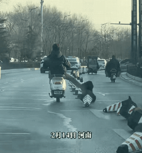 天生坏种！他一路笑着，踢倒了锥桶，他以为这只是一个玩笑，只是一个恶作剧，岂不知，