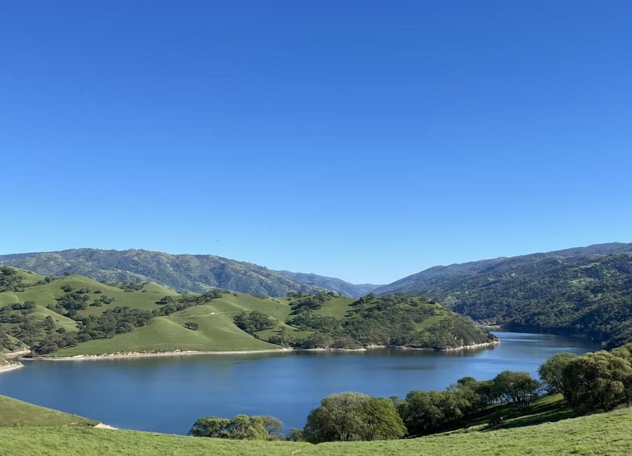 湾区徒步好去处：蓝天 湖泊和牛牛
📍 Del Valle Lake Trail