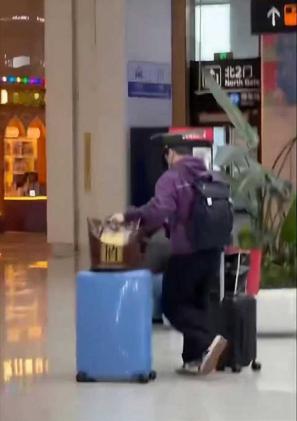 樊振东终于可以与家人短暂的团聚啦！
都说儿行千里母担忧，
但对于常年游离在外的孩