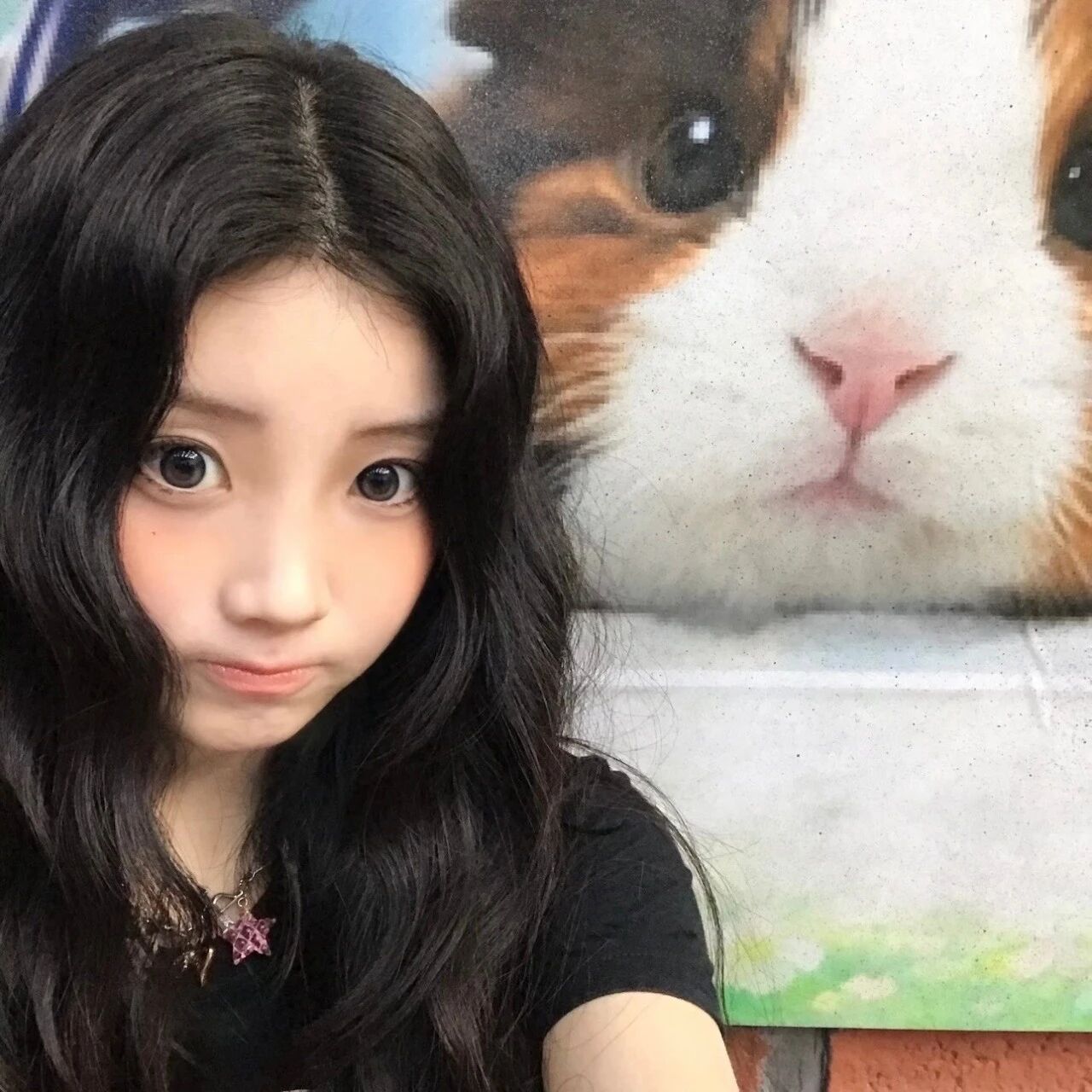 氛围感头像 ｜illit ｜李沅禧 ｜wonhee｜萌物没人认会拒绝一只可爱的豚