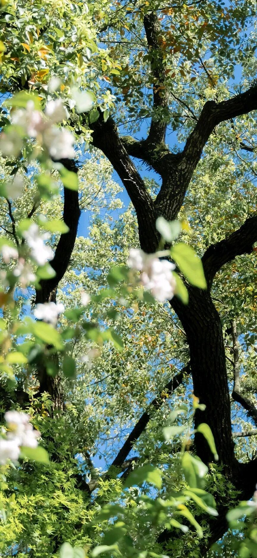 一向是这样 陪伴然后习惯 依赖即后失去承诺只有被承诺的人会一直记住捡起你破碎的同