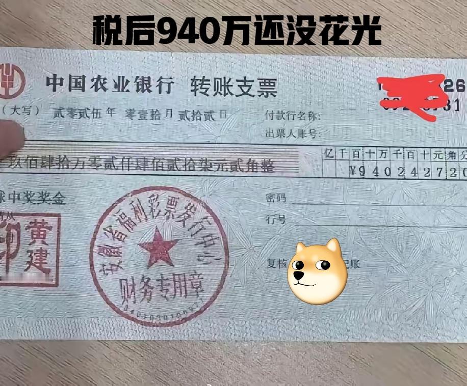 去年中了个一等奖，税后奖金940多万，除了还清了所有欠款，还买了房和车，现在手里