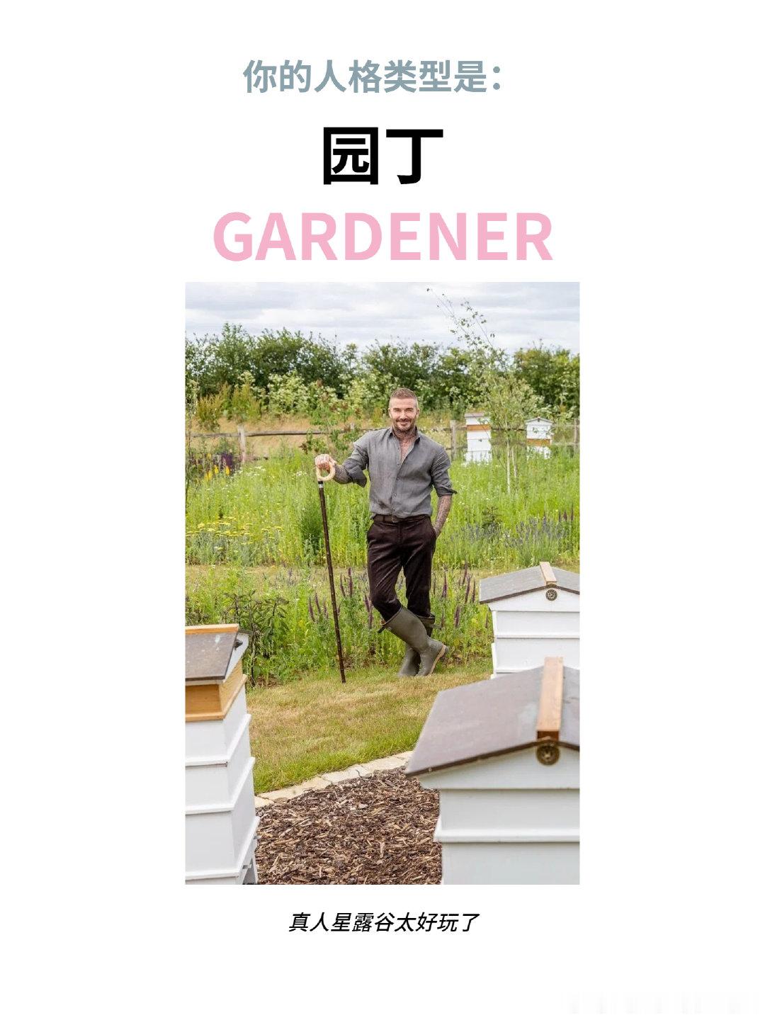 MBTI is outdated, my DBTI is... 🤔MBTI已经