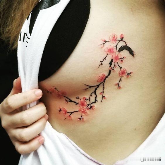 一剪梅的“梅”，
与望梅止渴的“梅”
是同一株梅吗？