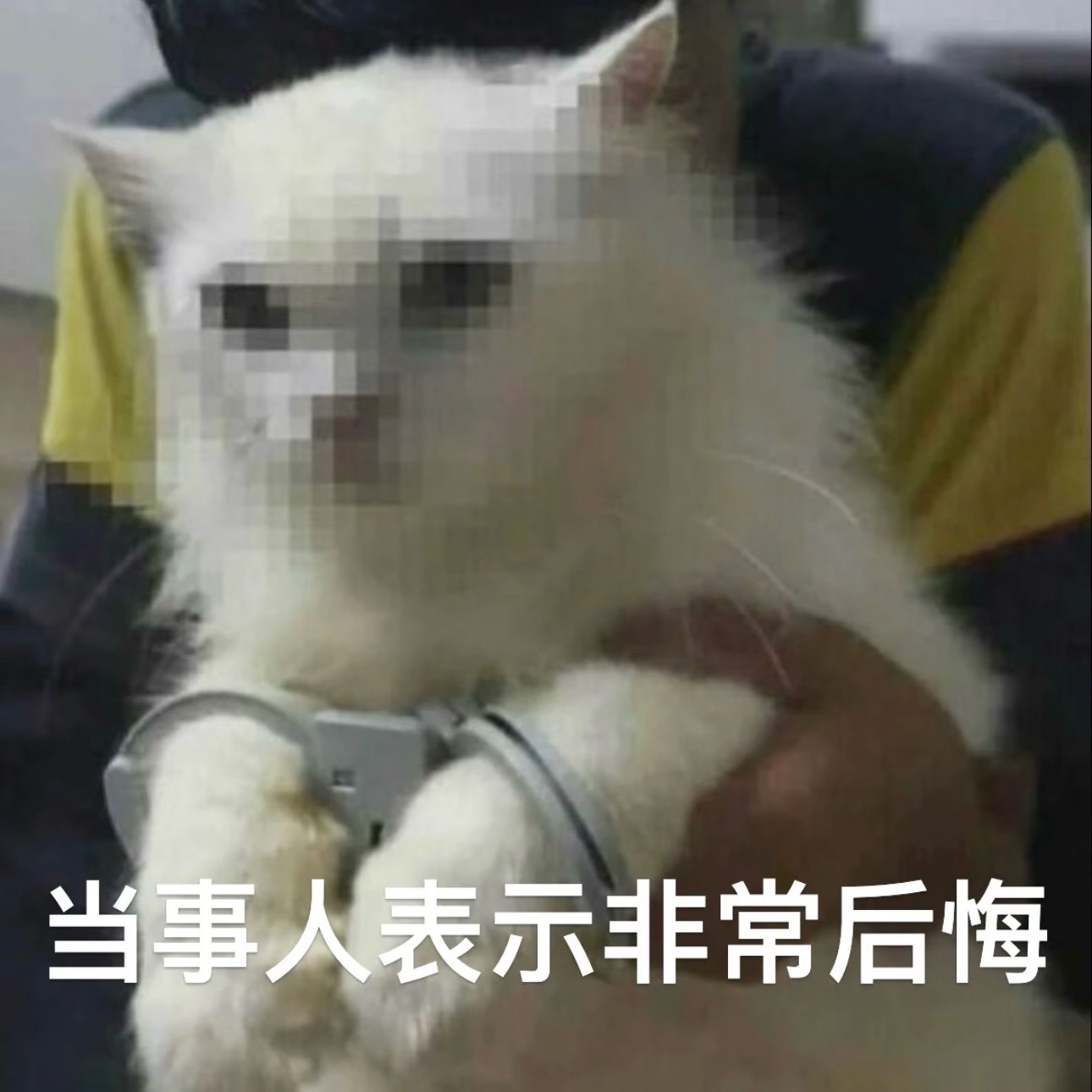 哈哈！是谁又在熬夜！！是我！！！明天早上肯定又要悔恨了[泪][泪][泪] ​​​