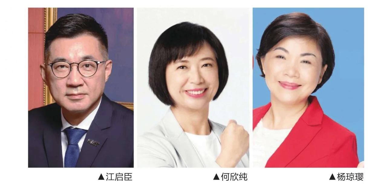 江启臣，昔日国民党青壮派的门面人物，如今却把“退党”这张牌摆上了桌面。这不是一场