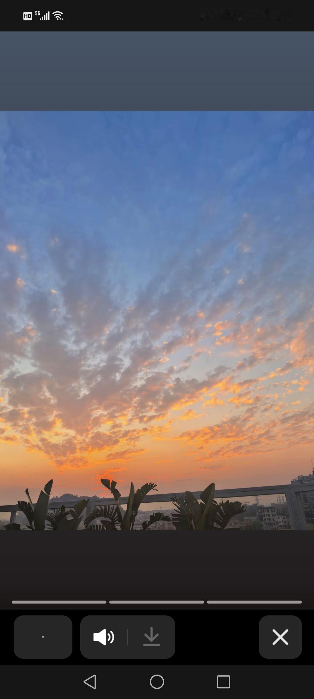 分享一张最近随手拍的照片